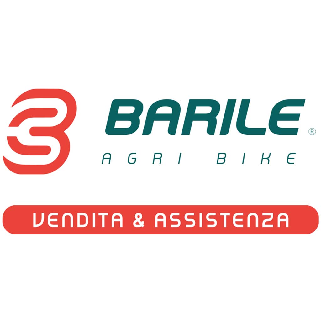 Verga - Canna - Asta Batti Olive / Mandorle in Fibra 3 Metri