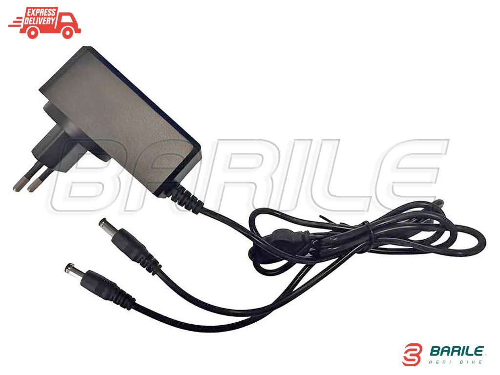 Abbacchiatore Olive Elettrico CASTELLARI VERTIGO L 18V (2,3 - 3,30 mt)  5,2 AH