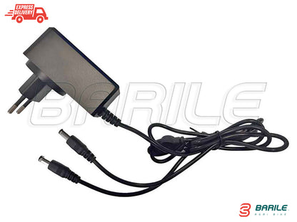 Abbacchiatore Olive Elettrico CASTELLARI VERTIGO L 18V (2,3 - 3,30 mt)  5,2 AH