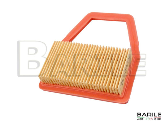 Filtro Aria Decespugliatore OLEOMAC 741 - BC 350 - BC 400 - SPARTA 381 - 441