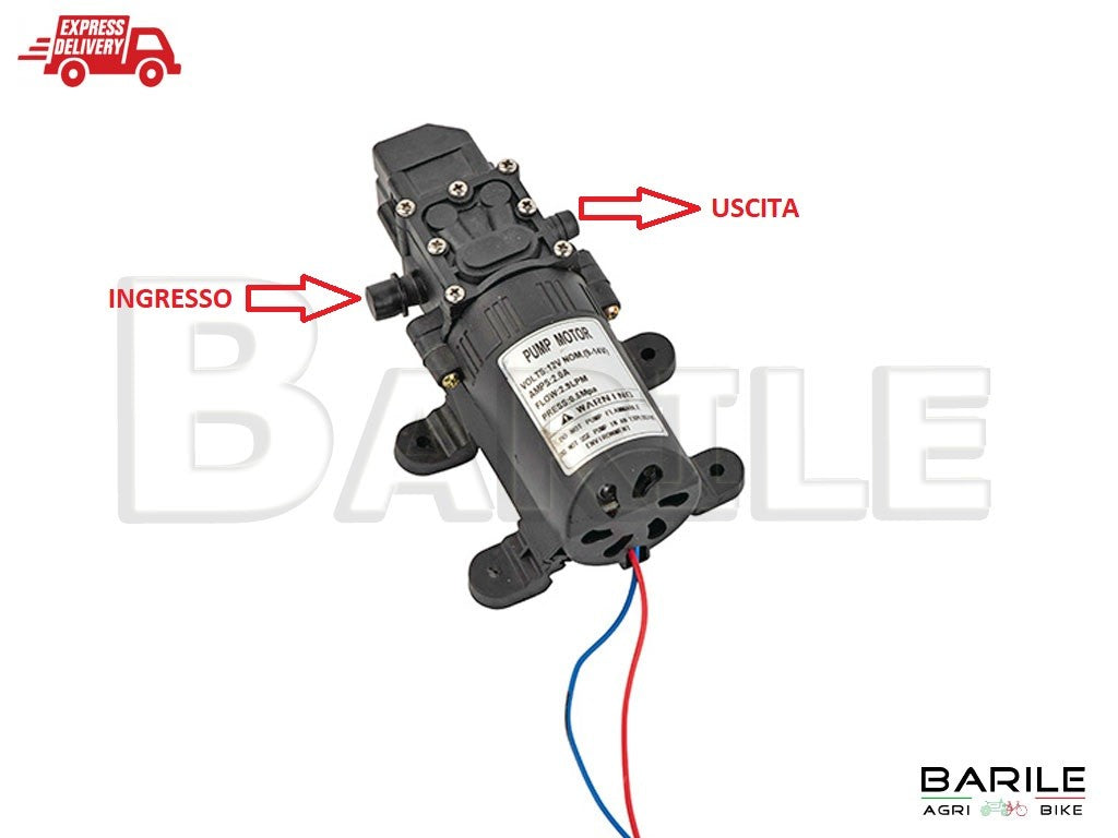 Motore / Motorino Pompa a Spalla Irroratrice Batteria