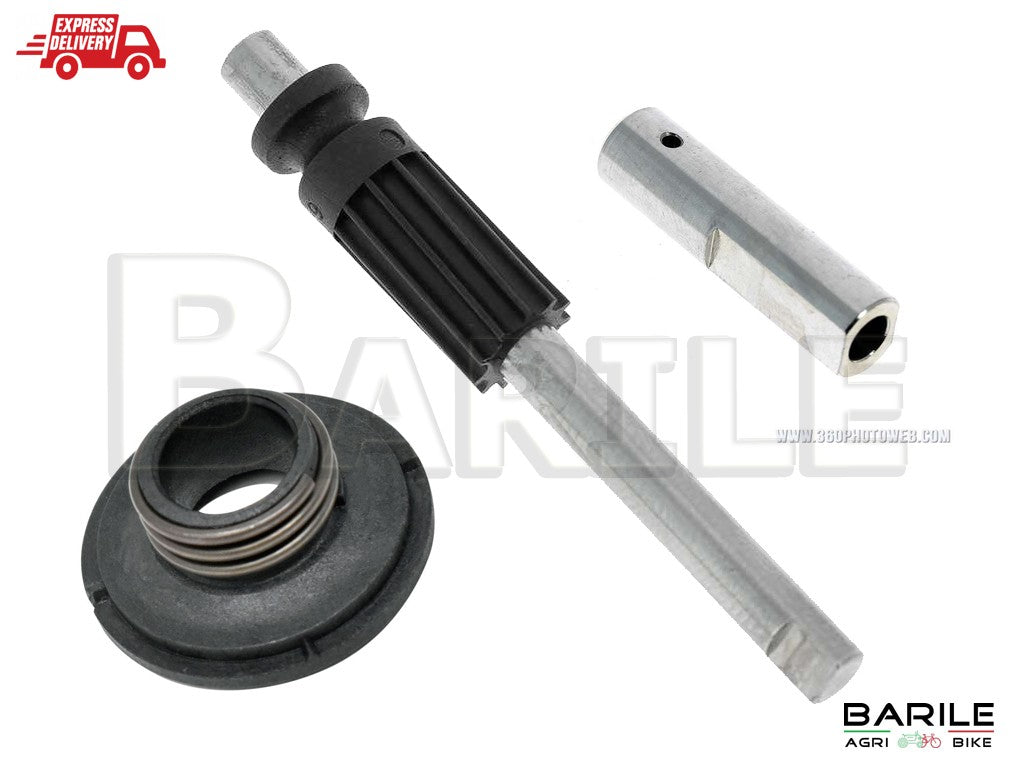 GIRANTE VITE RICAMBIO POMPA OLIO MOTOSEGA BG38/TH25 (27986 GIRANTE VITE RICAMBIO POMPA OLIO MOTOSEGA BG38/TH25 (27986